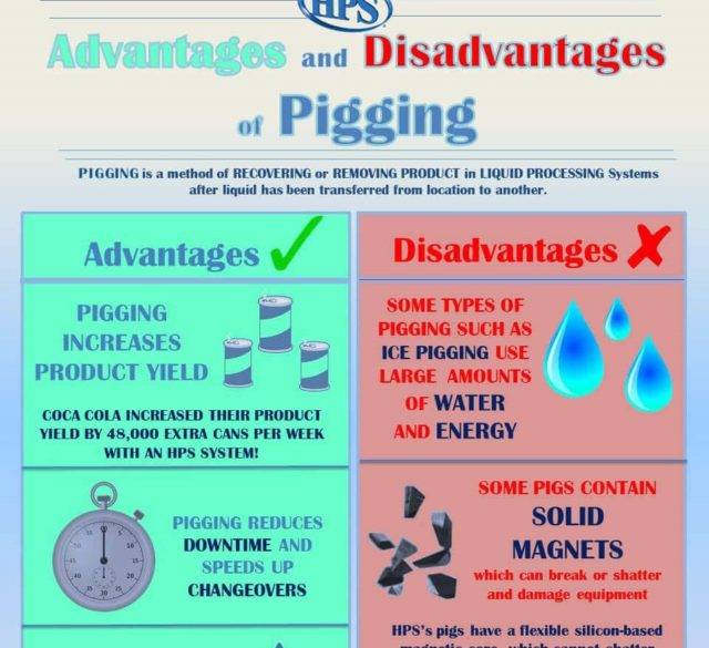 advantages and disadvantages of pigging