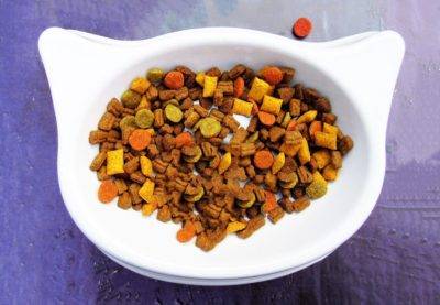 pet food clean label pet food clean label