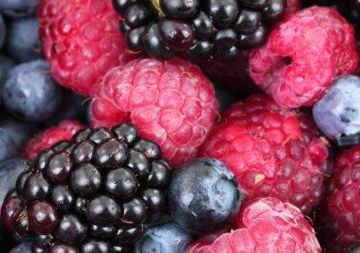 food fraud high risk of food fraud