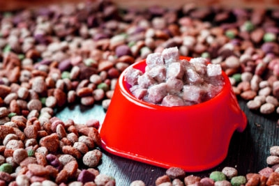 pet food improving efficiency