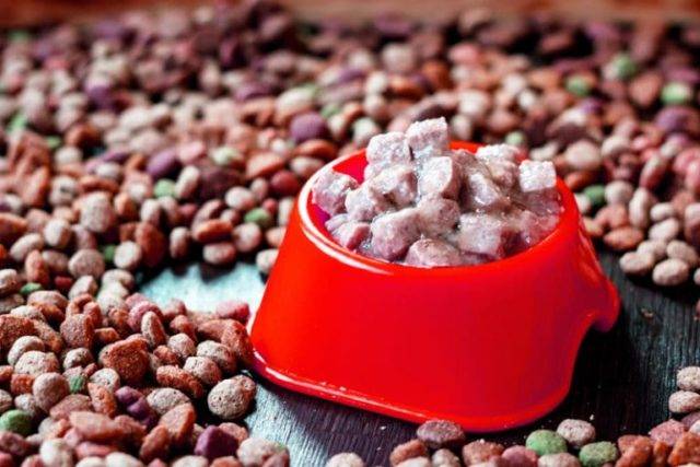 pet food industry improve efficiency