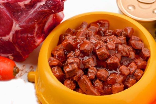 wet pet food