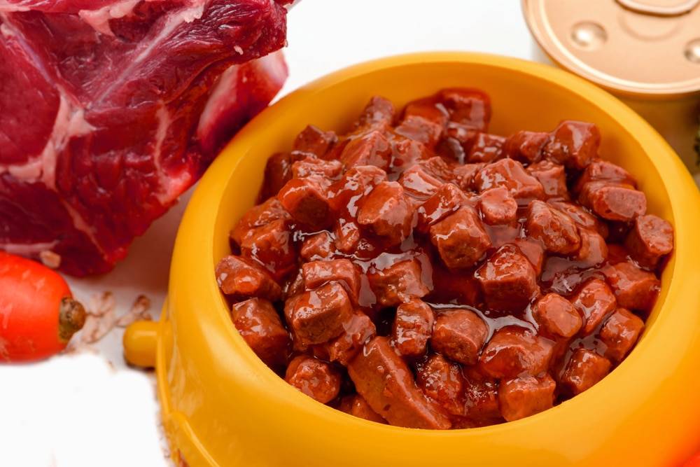 wet pet food