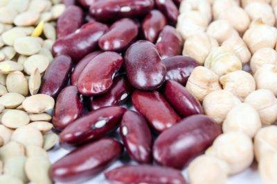 plant-based eating food options