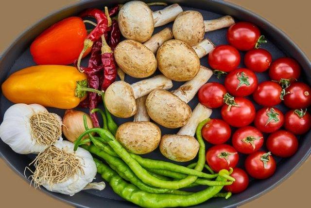 PLANT-BASED EATING TREND
