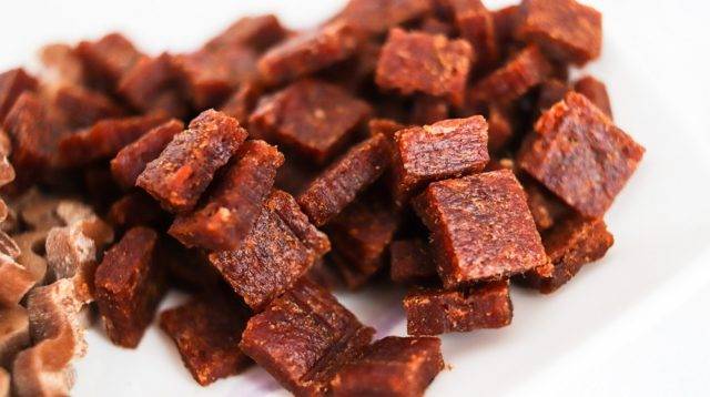 pet food safety