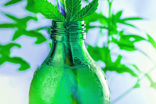 CBD infused food and beverages and pigging