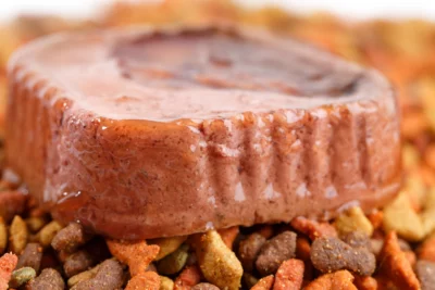 sanitary challenges pet food industry