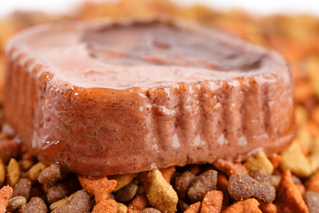 sanitary challenges pet food industry