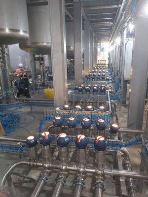 HPS pigging valve matrix