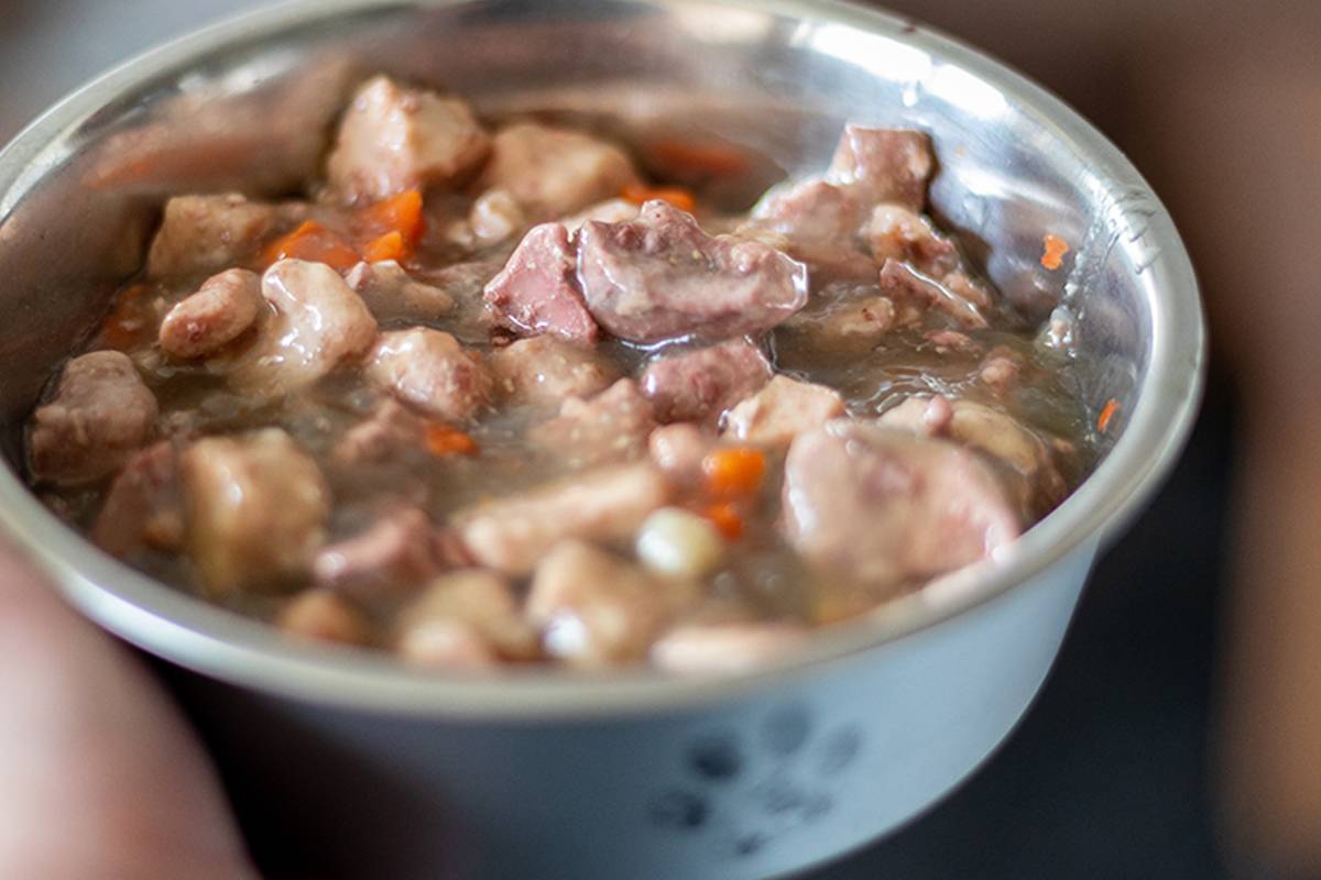 pet food processing and production pet-food-processing-and-production.