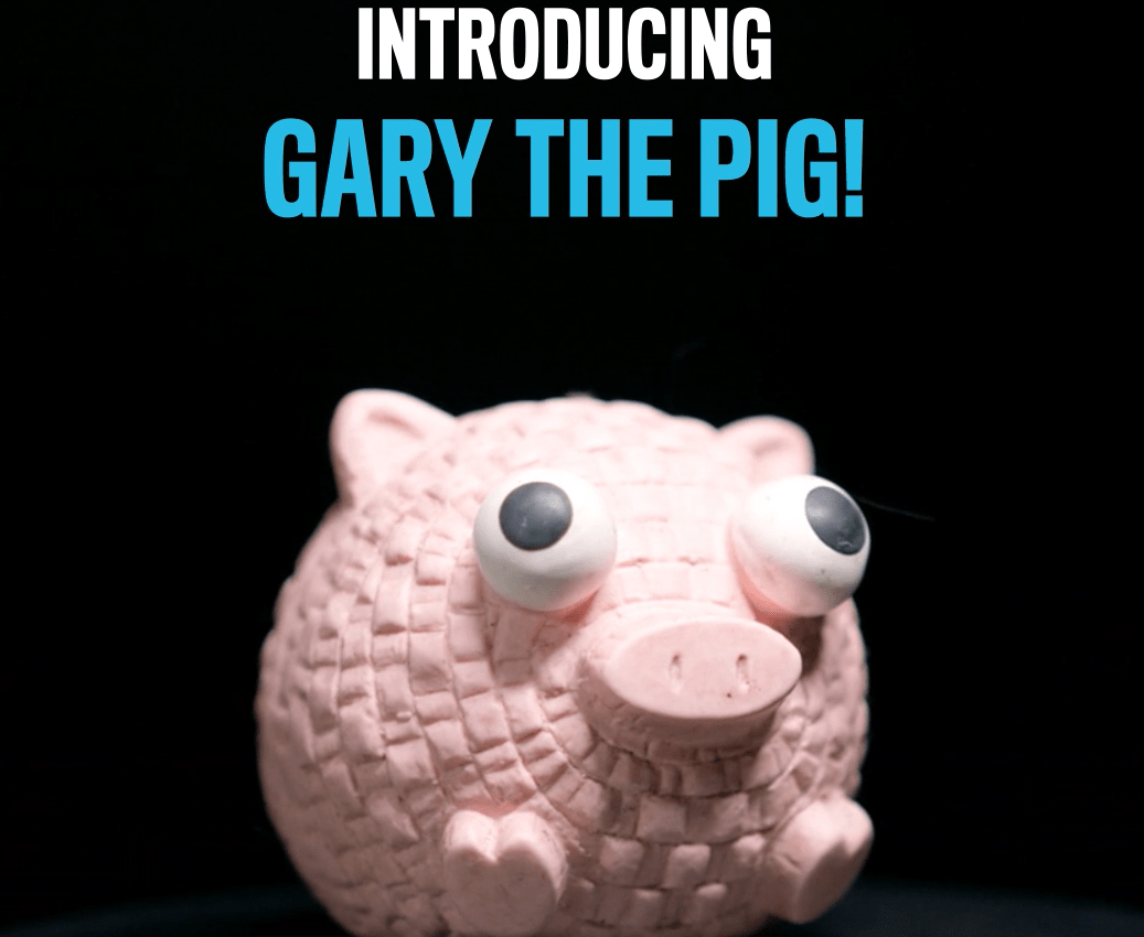 Gary the pig