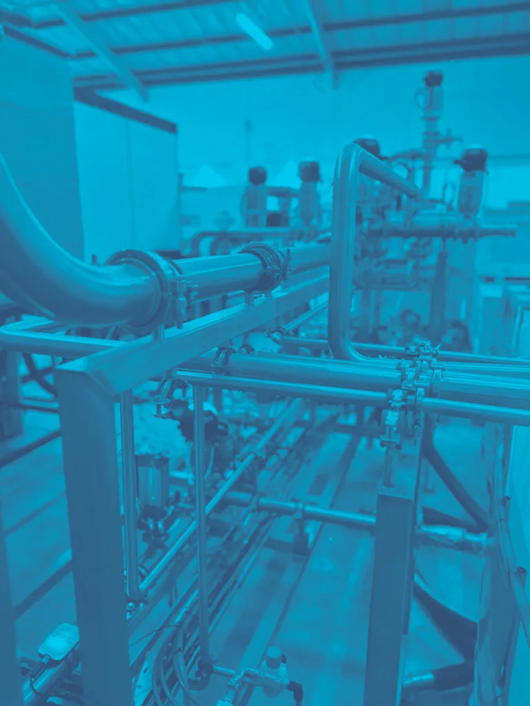 HPS Pigging Technology